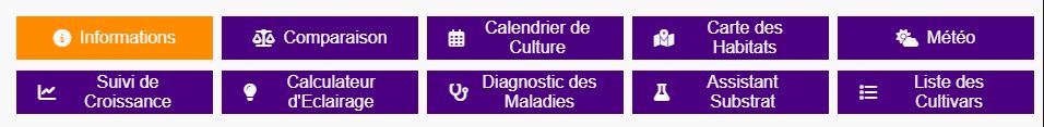 Applications interactives pour culture de plantes carnivores - Les Gloutonnes