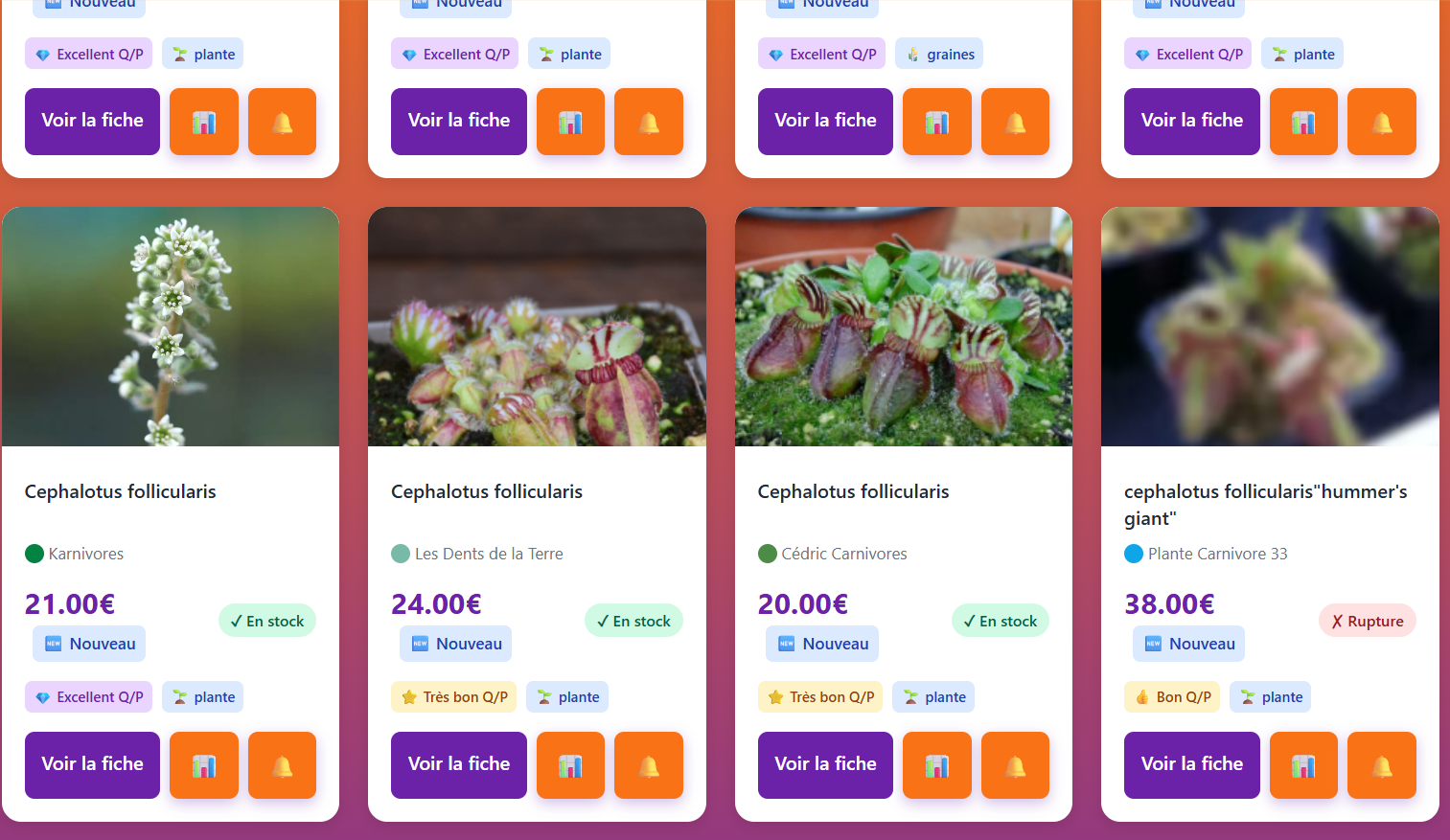 Résultats de recherche en grille