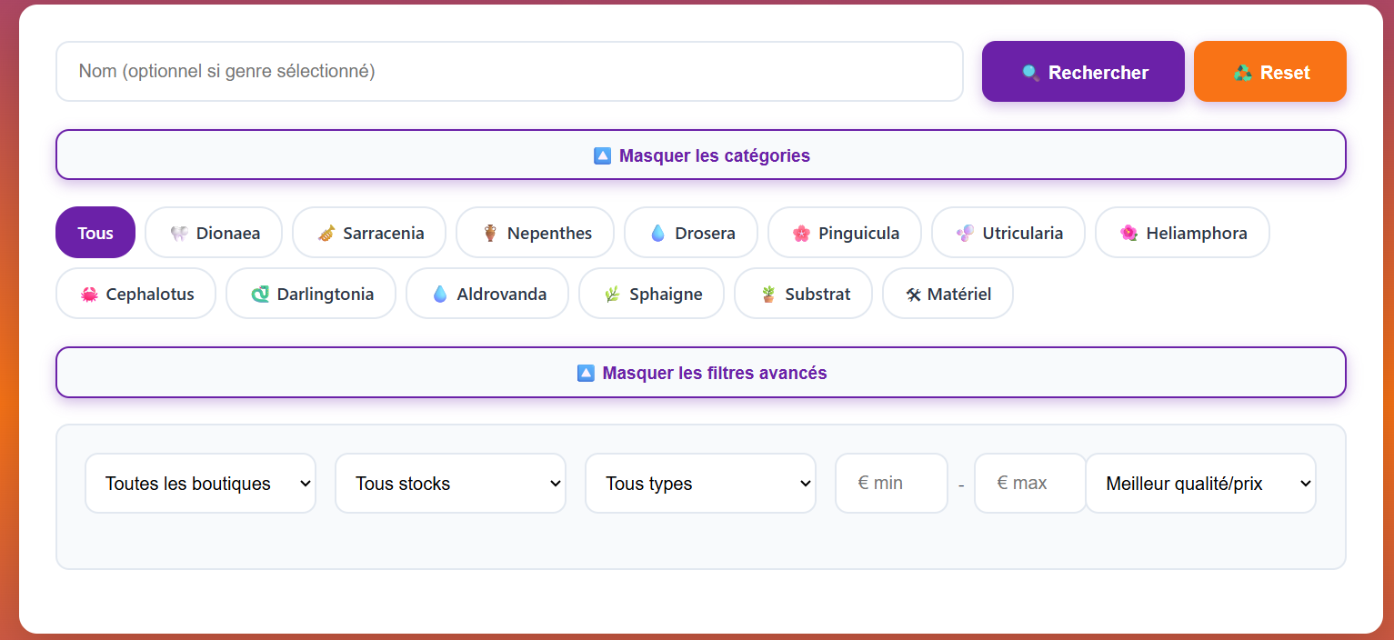 Interface de recherche avec filtres