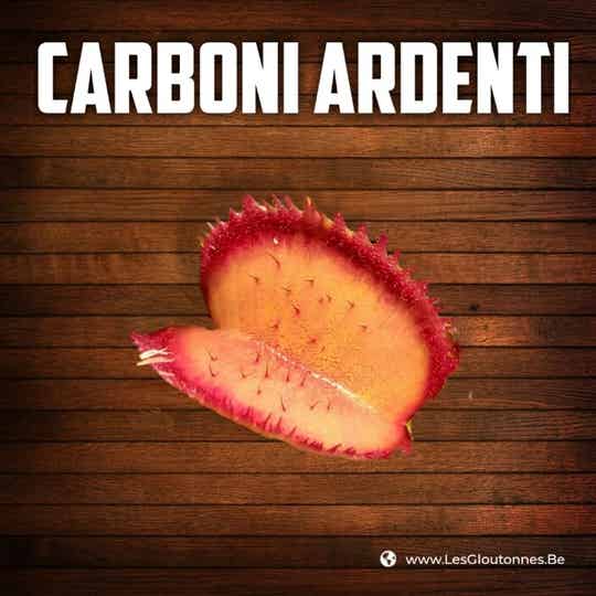 Dionaea 'Carboni Ardenti'