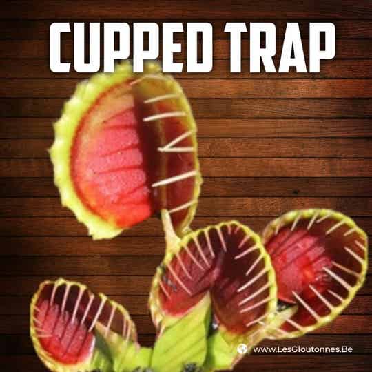 Dionaea 'Cupped Trap'