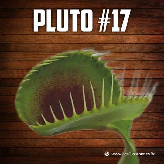 Dionaea "GJ Pluto #17"
