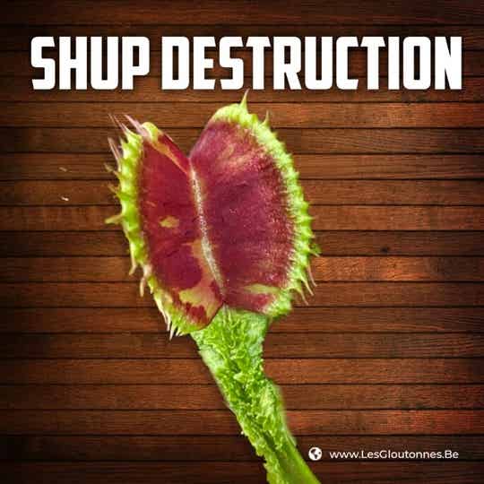 Dionaea "Schup Destruction"