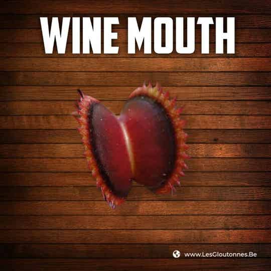 Dionaea "Wine Mouth"