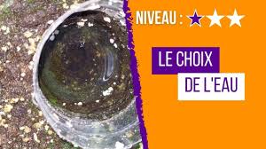 Quelle eau choisir et comment arroser tes plantes carnivores