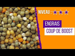 Tout savoir sur les engrais pour les plantes carnivores