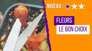 Faut il couper les fleurs des plantes carnivores