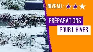 Préparer Tes Plantes Carnivores pour l'Hiver