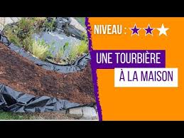 Comment réaliser facilement une mini tourbière artificielle