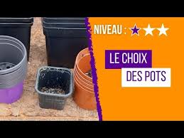 Quels pots choisir pour tes plantes carnivores