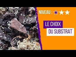 Quel substrat choisir pour tes plantes carnivores