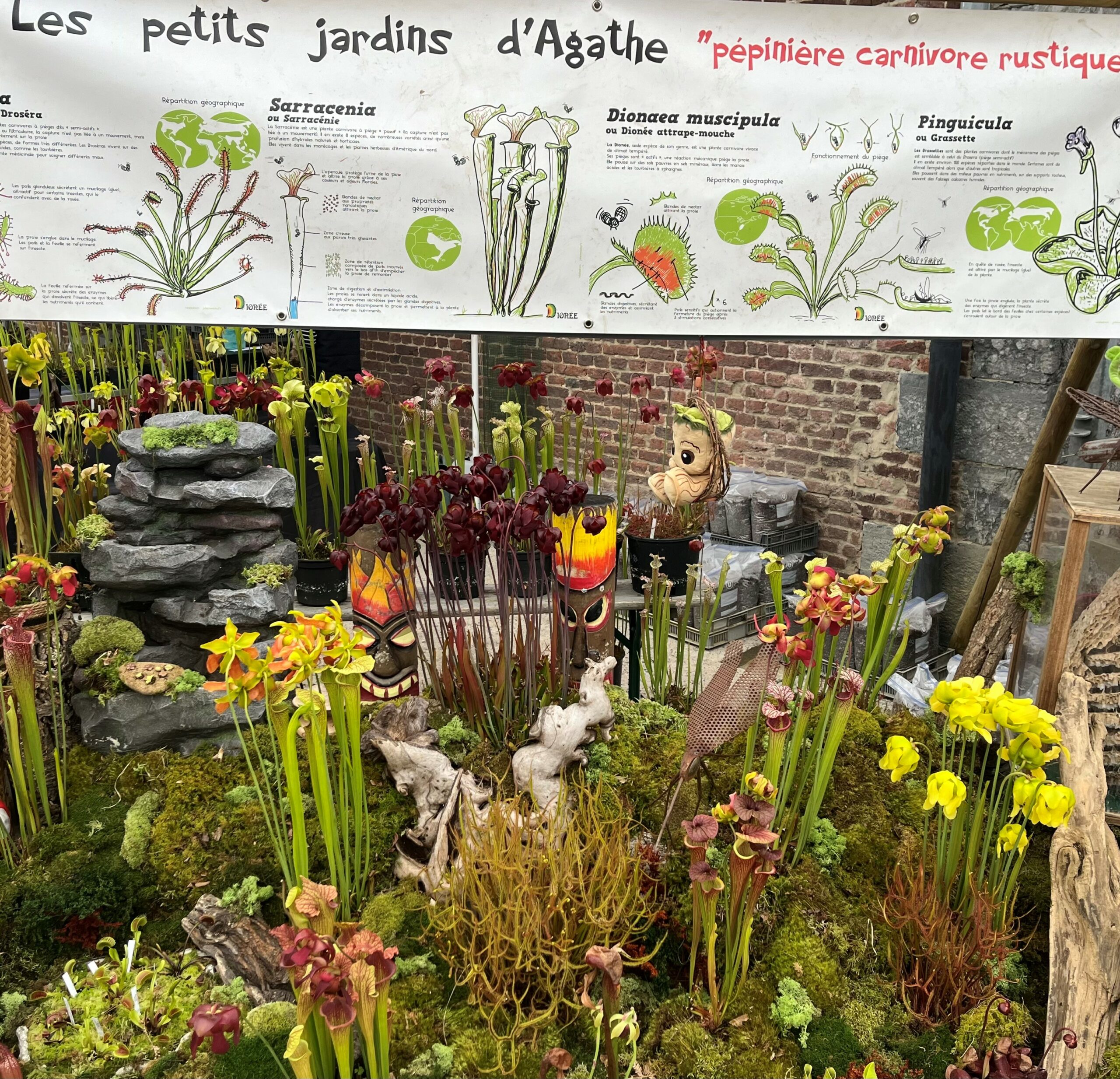 Les Petits Jardins d'Agathe