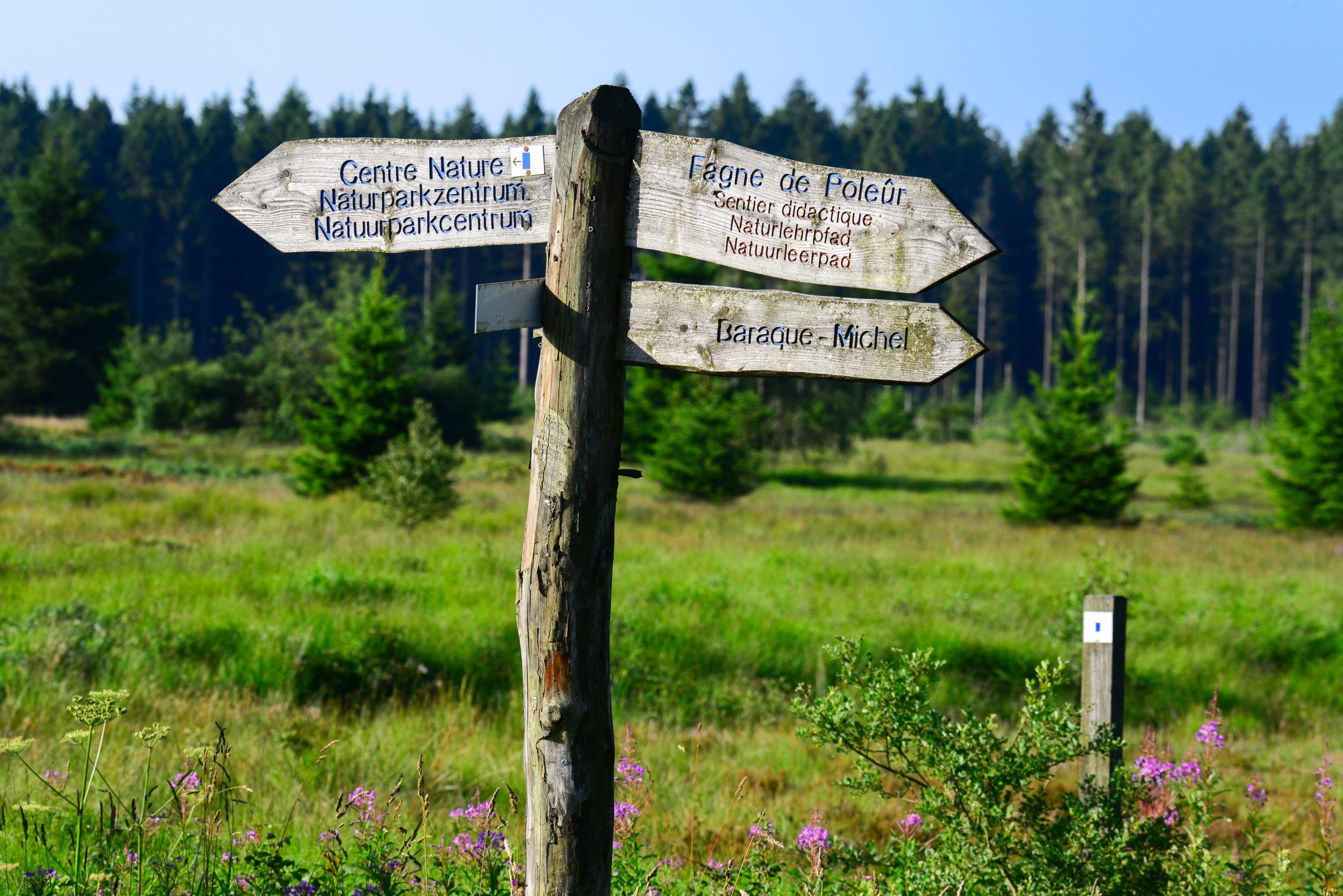 Visite guidée dans les tourbières