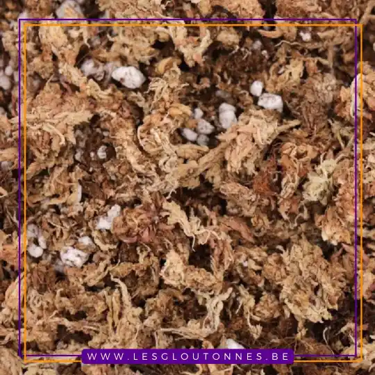 Premium Mix
